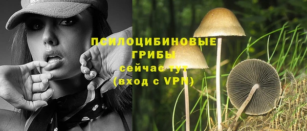 синтетический гашиш Беломорск