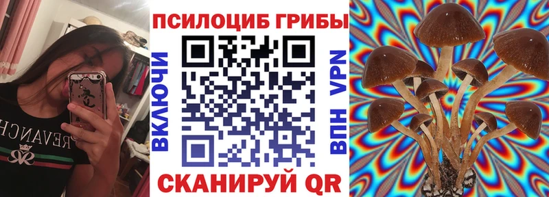 Галлюциногенные грибы Cubensis  Курильск 